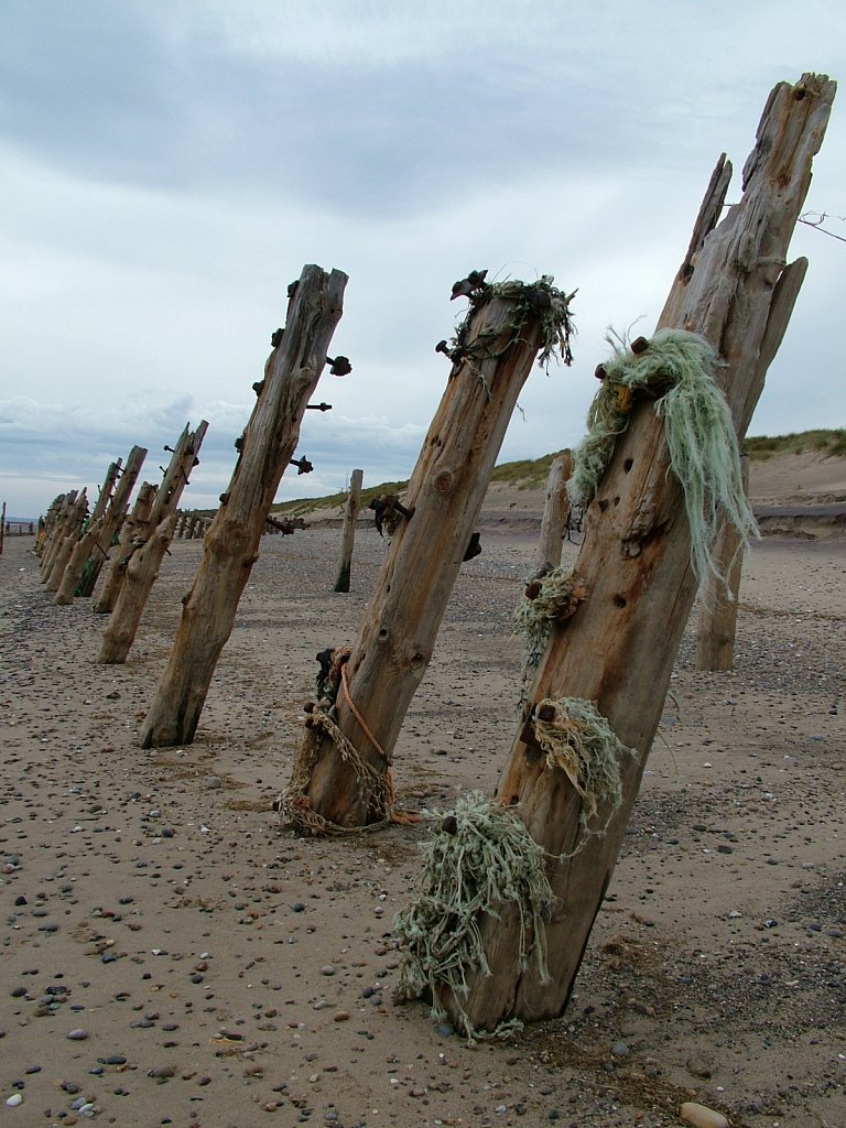 Spurn-Head-Humberside-1.JPG