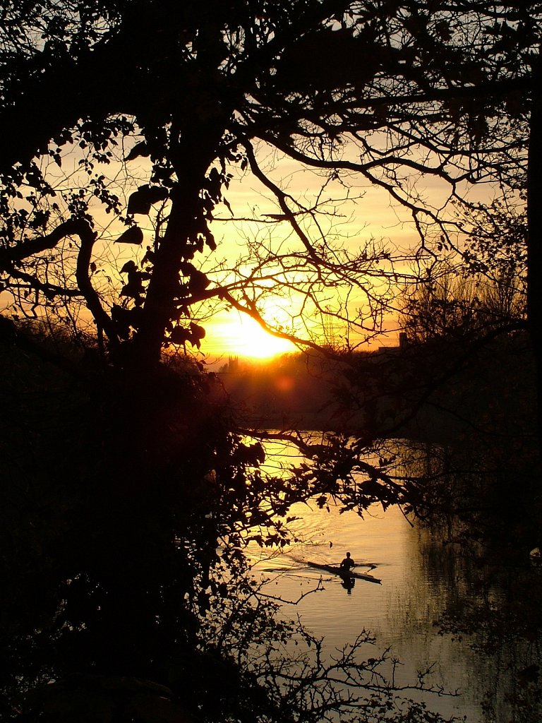 Evening-Canoist.JPG