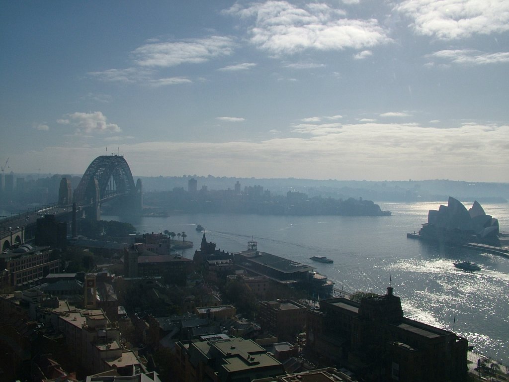 Misty-Morning-in-Sydney.JPG